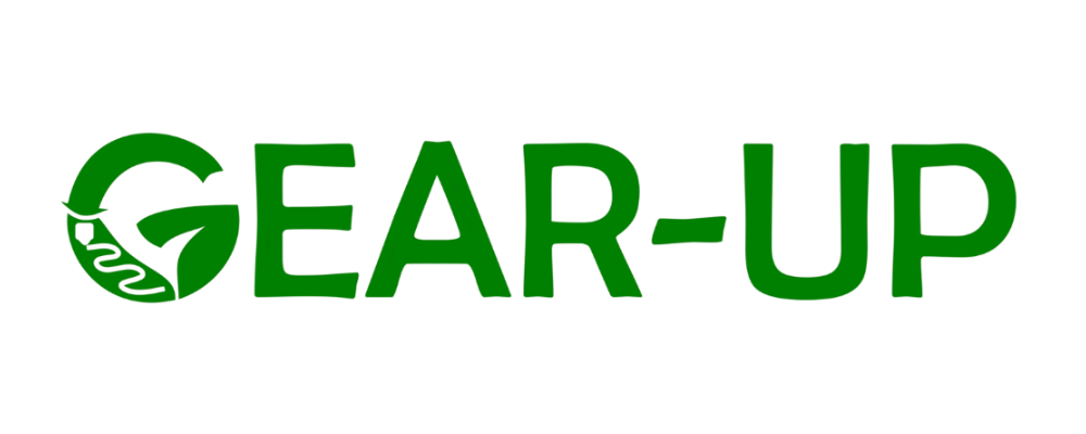 Gearup